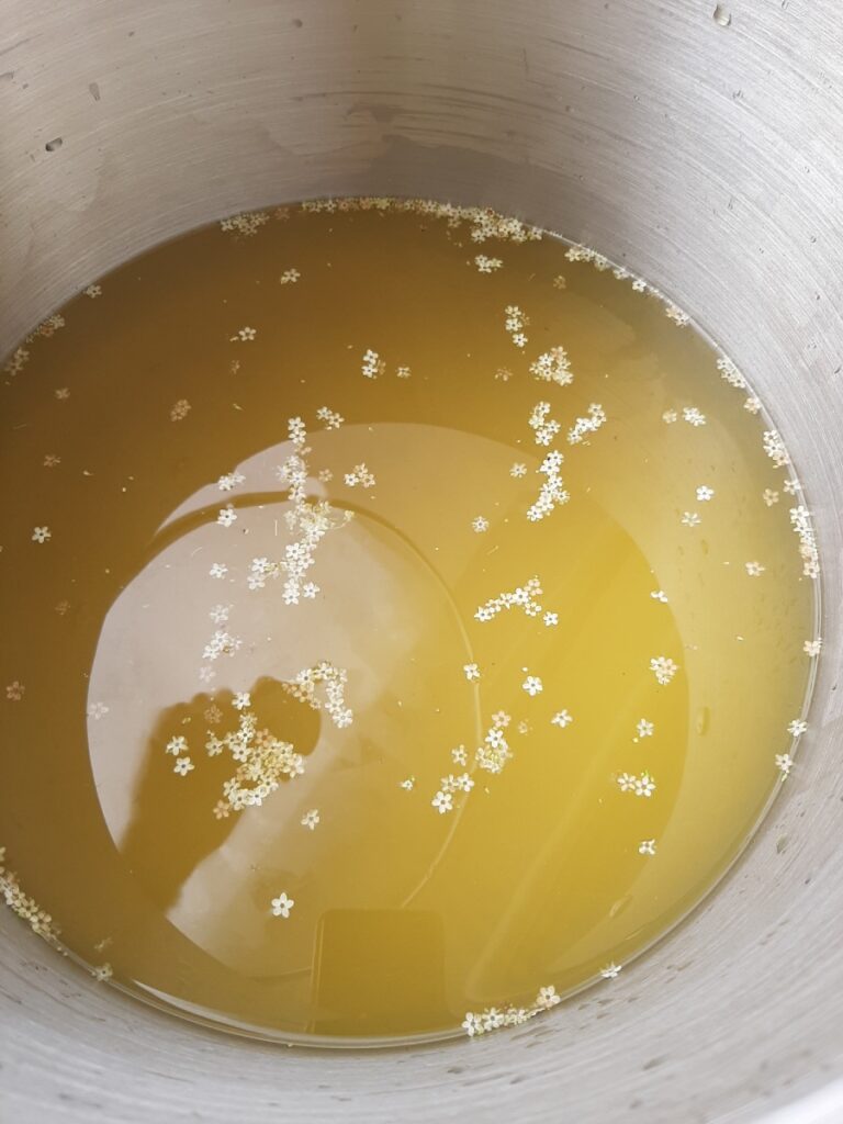 Préparation de gelée de sureau